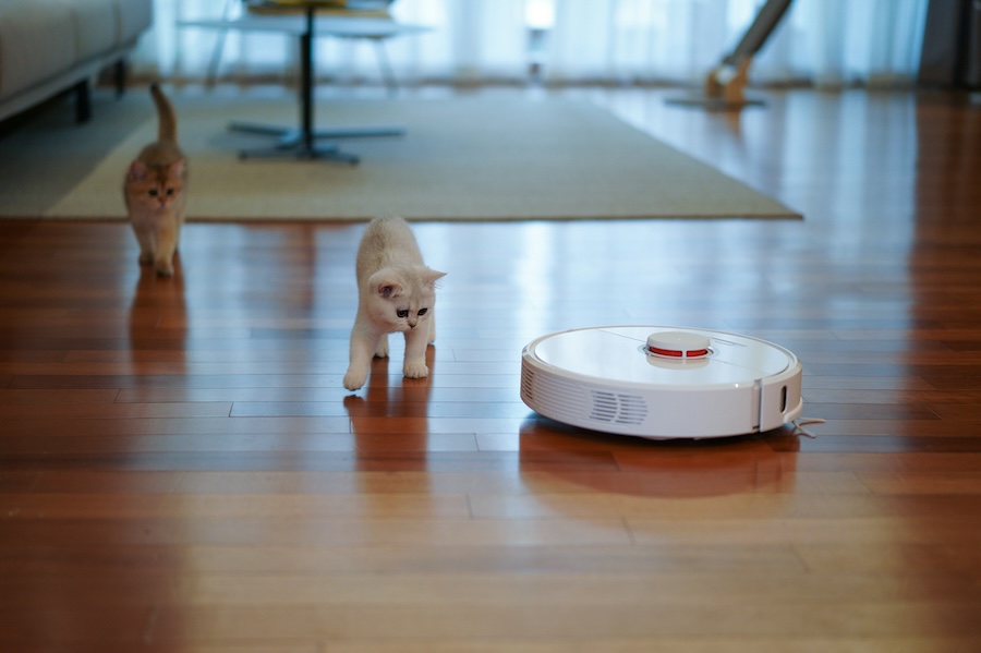 Should You Buy a Robot Vacuum During This Festive Season