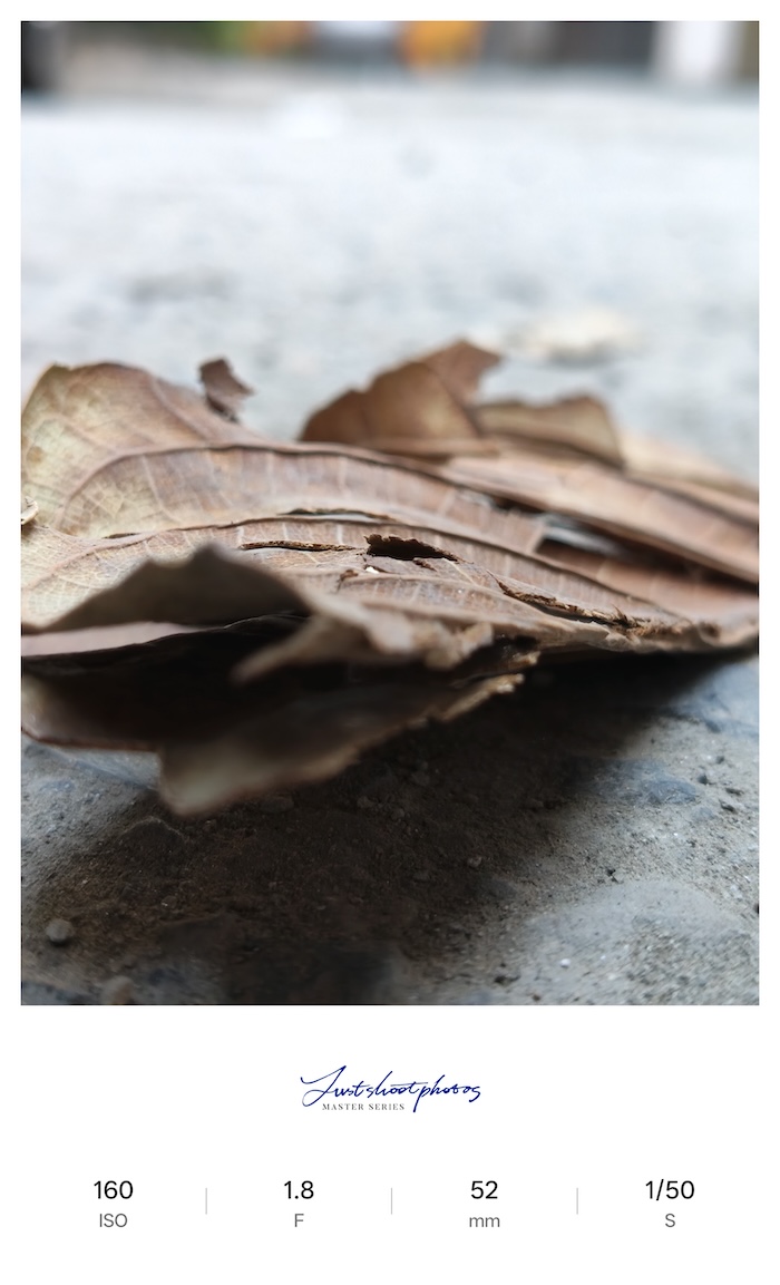 Oppo Reno 15C Review Camera Samples15