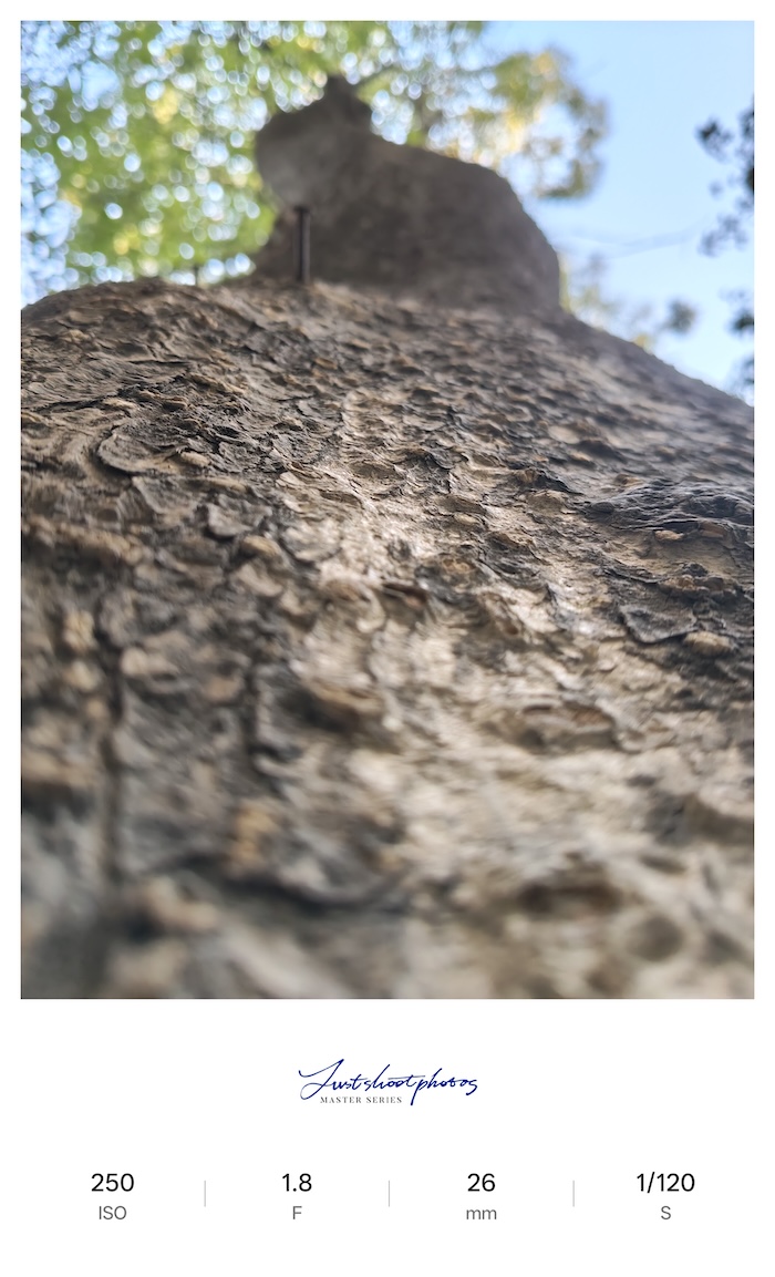 Oppo Reno 15C Review Camera Samples15