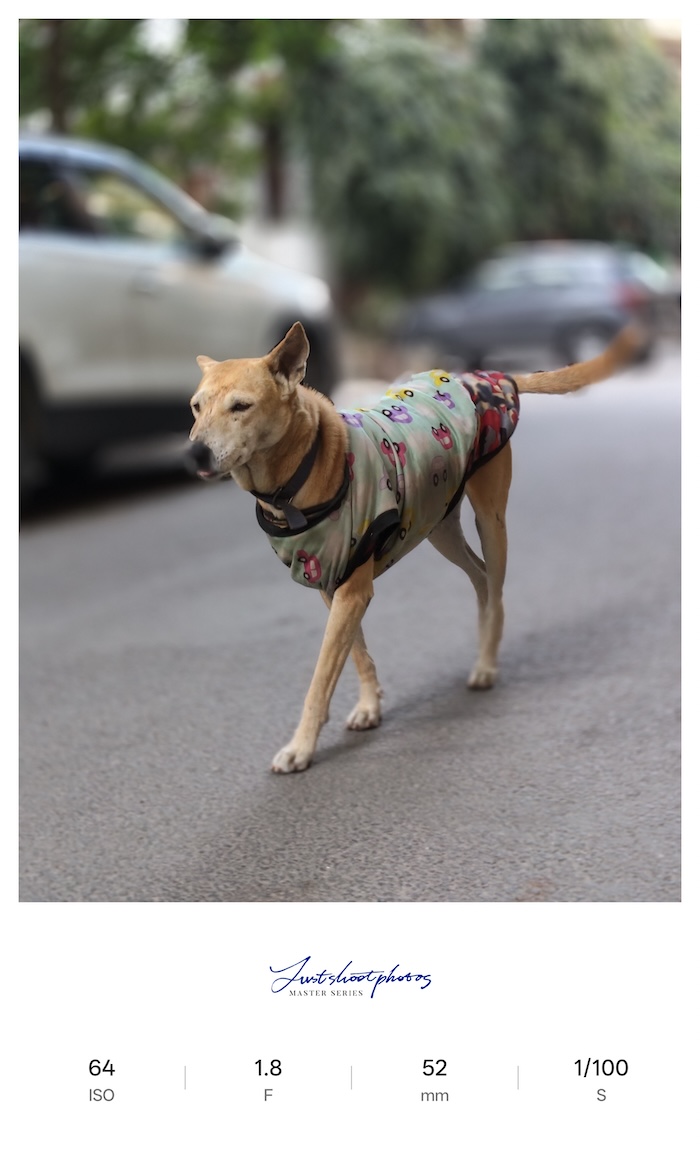 Oppo Reno 15C Review Camera Samples15