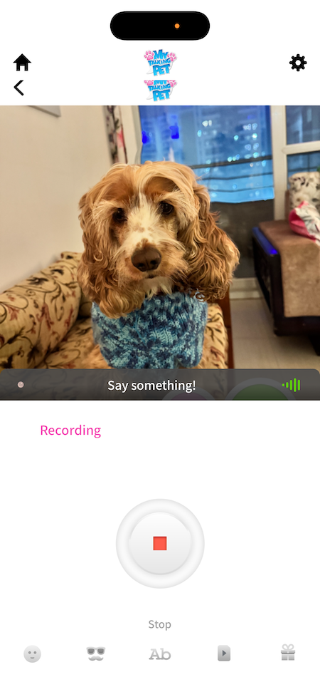 How to Make Talking Animal Videos on iPhone 2