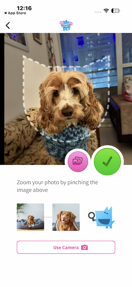 How to Make Talking Animal Videos on iPhone 6